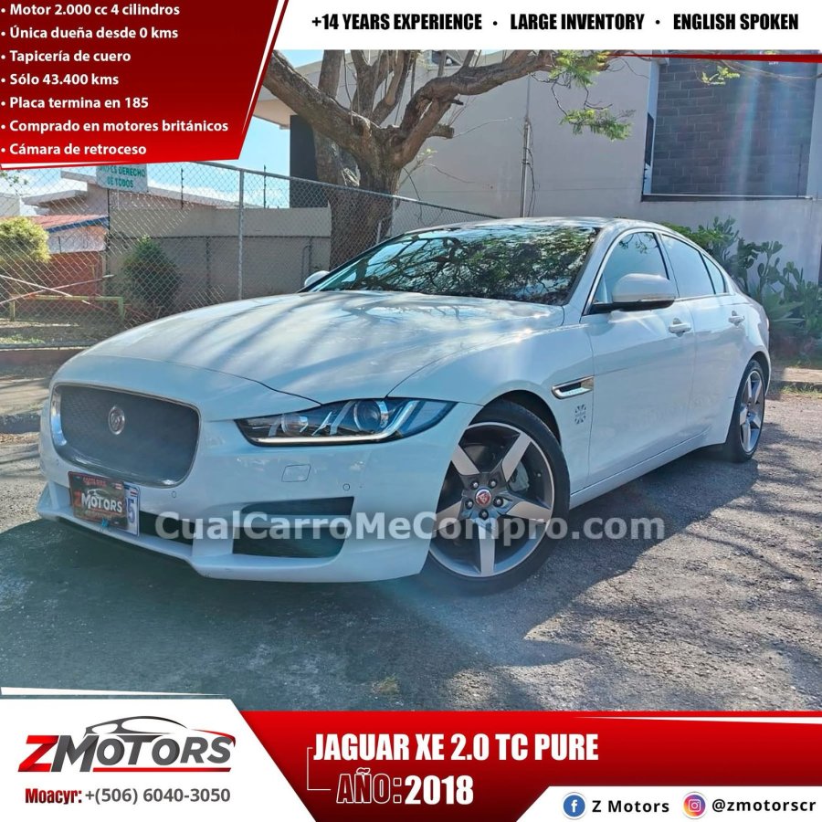 JAGUAR pure 2018
