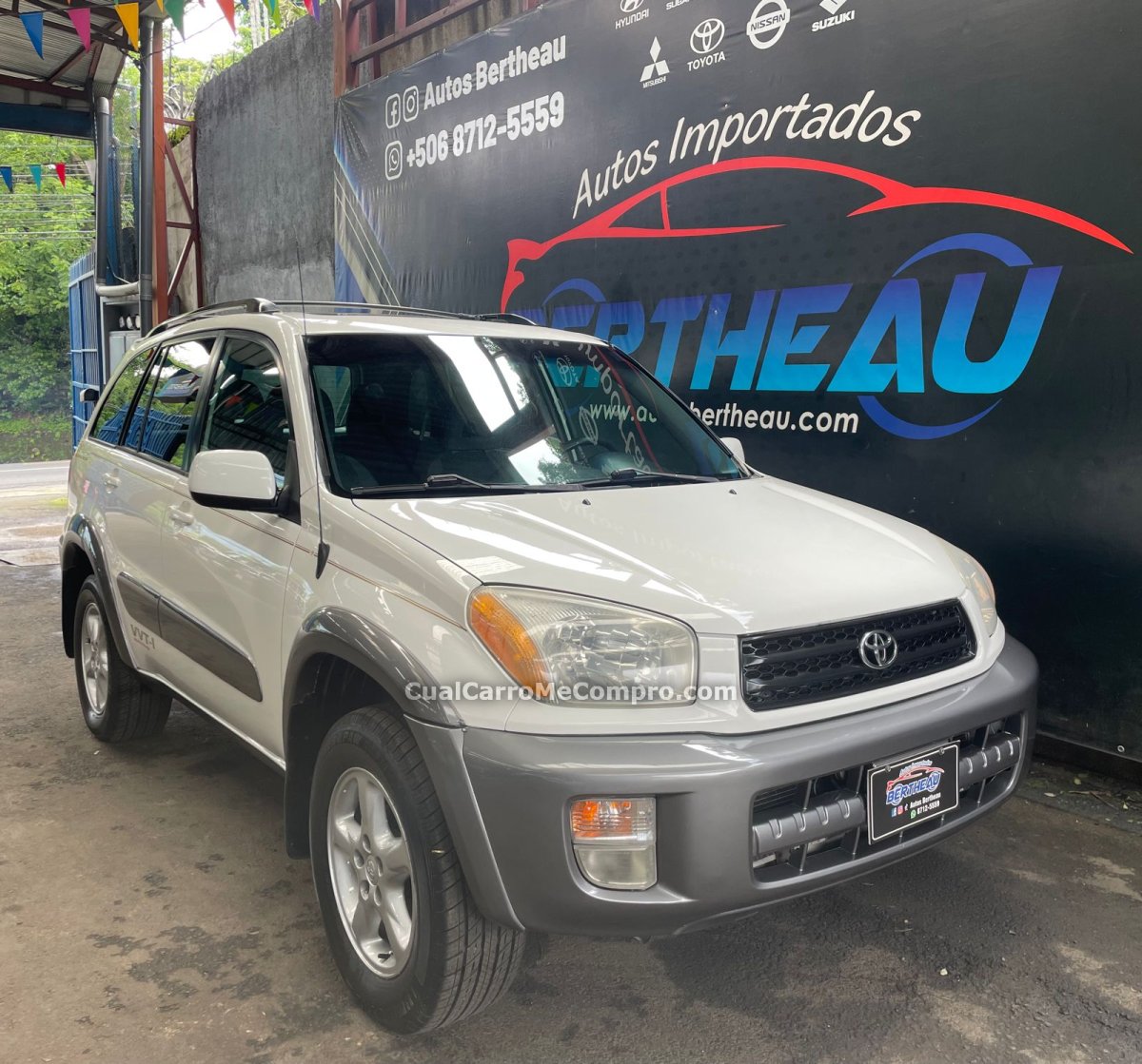 TOYOTA RAV4 2001